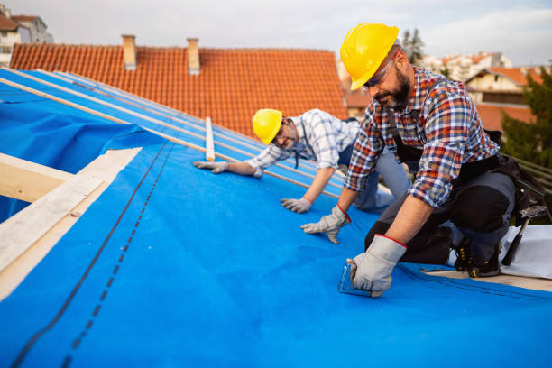 Best Gutter Installation and Roofing  in Bolivar, TN