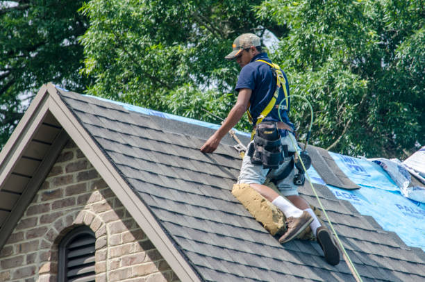 Best Commercial Roof Installation  in Bolivar, TN